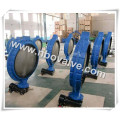 API609 Double Flanged Double Operated Butterfly Valve (D26F)